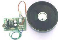 Audio Amplifiers and Effects